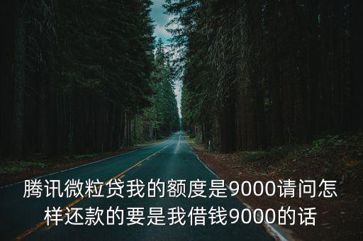 騰訊微粒貸我的額度是9000請問怎樣還款的要是我借錢9000的話