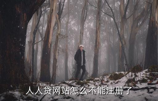 人人貸網站怎么不能注冊了