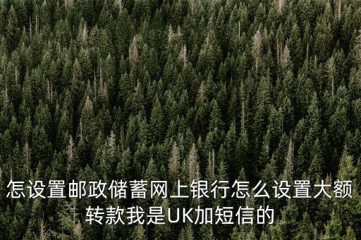怎設置郵政儲蓄網上銀行怎么設置大額轉款我是UK加短信的