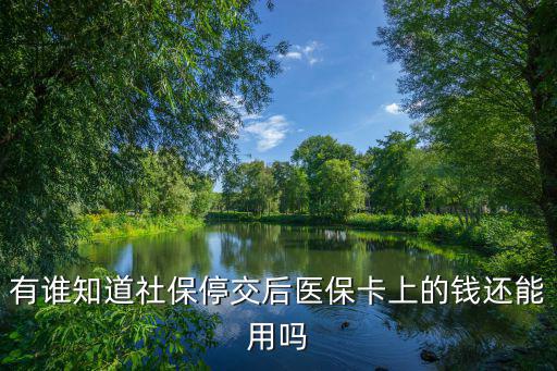 有誰(shuí)知道社保停交后醫(yī)保卡上的錢(qián)還能用嗎