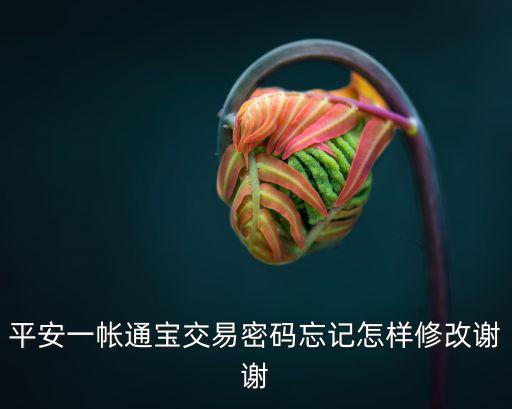 一賬通的密碼怎么改，怎樣改掉一帳通登陸密碼