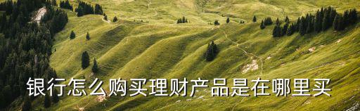 銀行專屬理財怎么買，銀行理財產(chǎn)品怎么買
