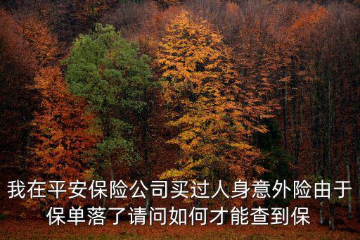 怎么查人生意外險，生命人壽意外卡怎樣查詢