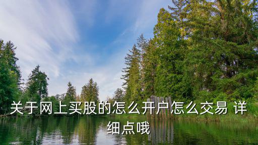 關(guān)于網(wǎng)上買股的怎么開戶怎么交易 詳細(xì)點(diǎn)哦