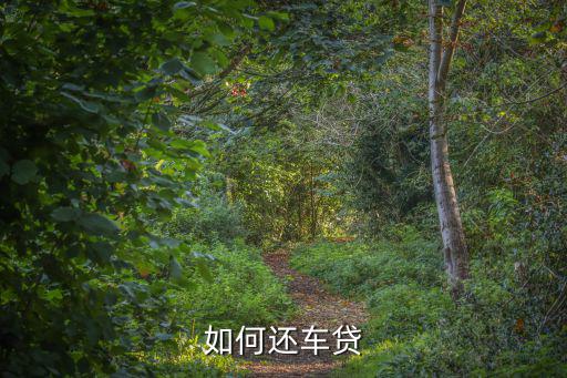 購車貸款怎么還款，如何還車貸