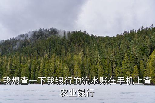 手機怎么查農(nóng)行賬單，手機如何查詢農(nóng)村信用社的帳目