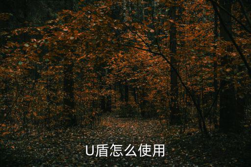 U盾怎么使用