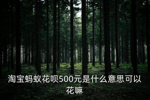 淘寶螞蟻花唄500元是什么意思可以花嘛