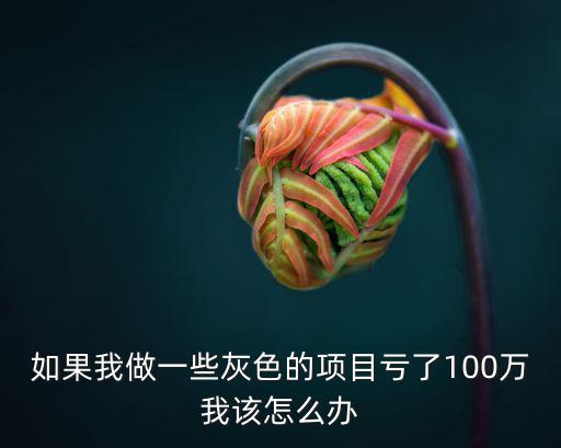 如果我做一些灰色的項(xiàng)目虧了100萬我該怎么辦