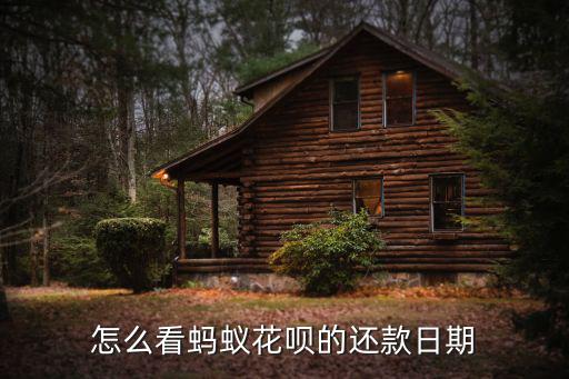 怎么看花唄還款時間，怎么看螞蟻花唄的還款日期