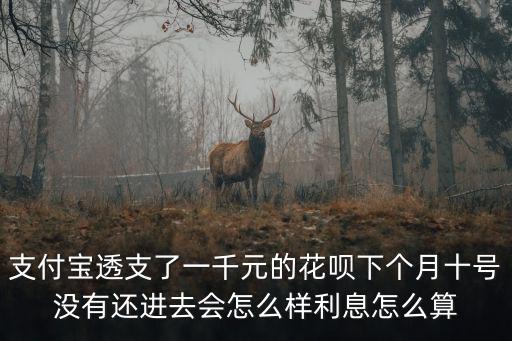 支付寶透支了一千元的花唄下個月十號沒有還進去會怎么樣利息怎么算