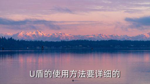 公積金兩個u盾怎么使用方法，誰告訴我要怎么用二代U盾