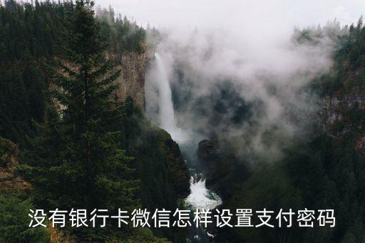 沒有銀行卡微信怎樣設(shè)置支付密碼