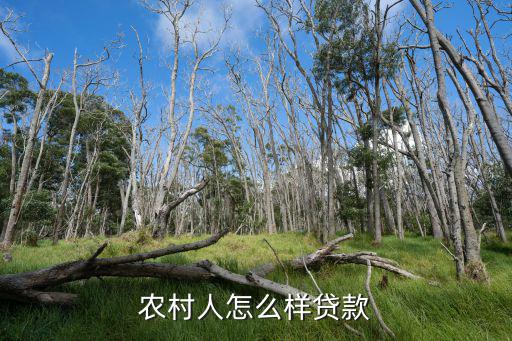 農(nóng)村人怎么樣貸款