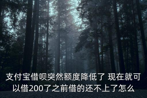 支付寶借唄突然額度降低了 現(xiàn)在就可以借200了之前借的還不上了怎么