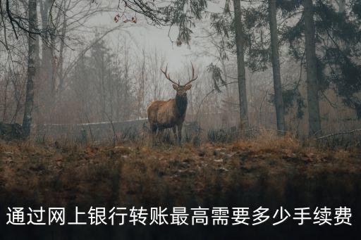 網(wǎng)上怎么大額轉(zhuǎn)賬手續(xù)費(fèi)嗎，微信大額轉(zhuǎn)賬要不要手續(xù)費(fèi)手續(xù)費(fèi)是多少