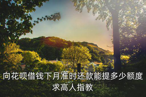 向花唄借錢下月準(zhǔn)時(shí)還款能提多少額度求高人指教