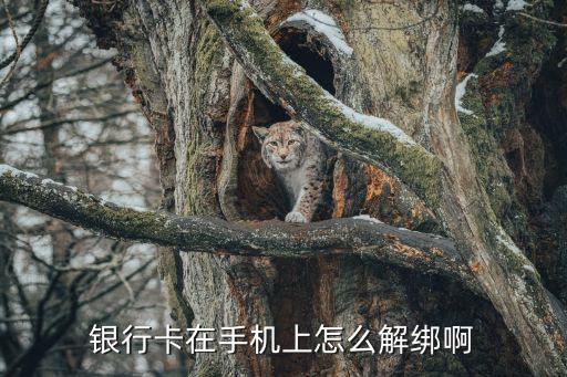 銀行卡在手機(jī)上怎么解綁啊