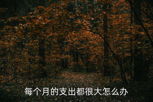 每個月的支出都很大怎么辦