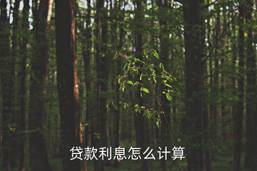 貸款利息怎么計(jì)算