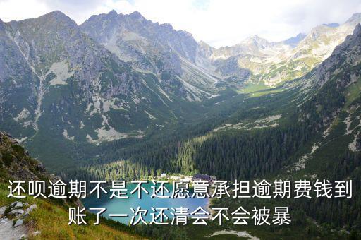 還唄逾期不是不還愿意承擔逾期費錢到賬了一次還清會不會被暴