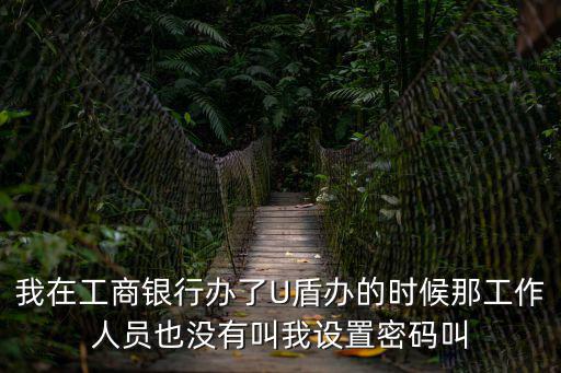 我在工商銀行辦了U盾辦的時(shí)候那工作人員也沒(méi)有叫我設(shè)置密碼叫