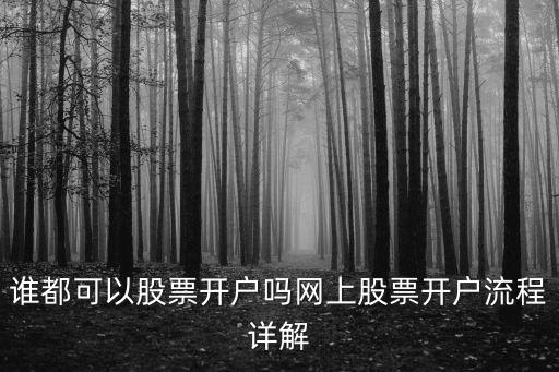 股票線上怎么開戶，怎么開網(wǎng)上交易的股票帳戶