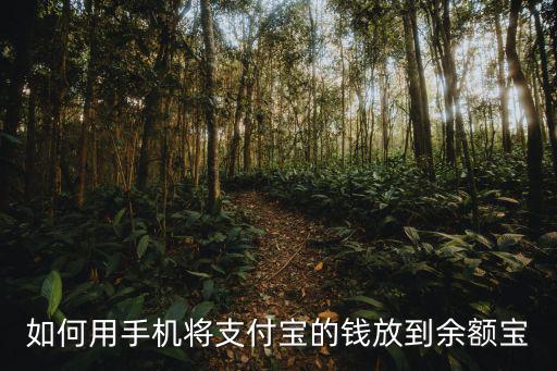如何用手機將支付寶的錢放到余額寶