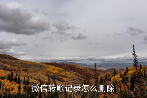 微信轉(zhuǎn)賬記錄怎么刪除