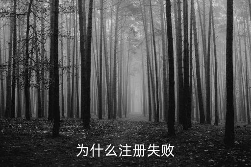 為什么注冊失敗