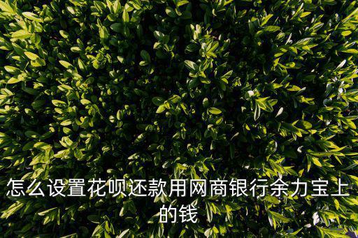 網(wǎng)商銀行的余利寶怎么使用，怎么設(shè)置花唄還款用網(wǎng)商銀行余力寶上的錢