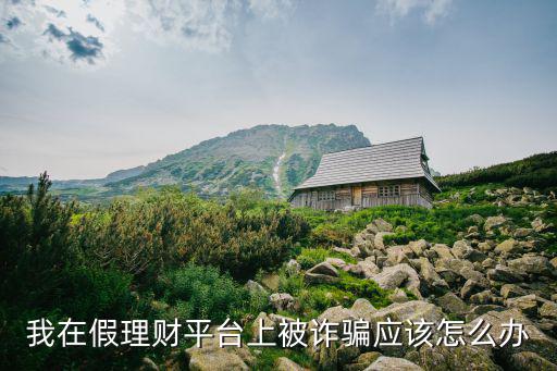 我在假理財平臺上被詐騙應該怎么辦