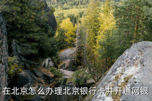 在北京怎么辦理北京銀行卡并開通網(wǎng)銀