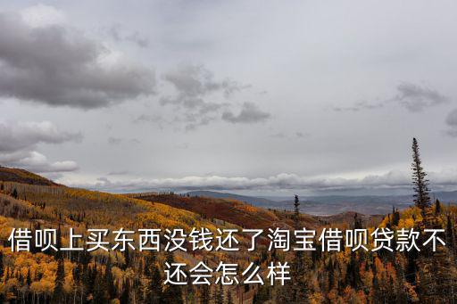 借唄上買東西沒錢還了淘寶借唄貸款不還會怎么樣