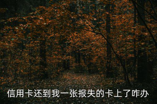 信用卡還到我一張報失的卡上了咋辦