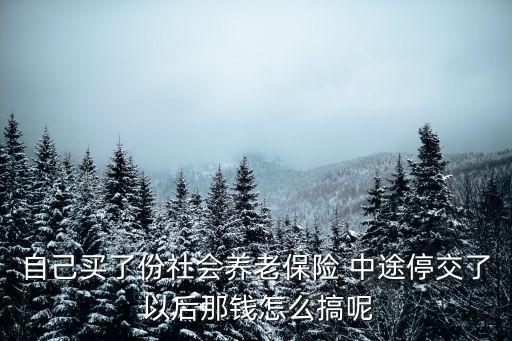 自己買了份社會養(yǎng)老保險 中途停交了 以后那錢怎么搞呢