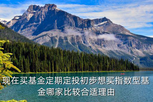 現(xiàn)在買基金定期定投初步想買指數(shù)型基金哪家比較合適理由