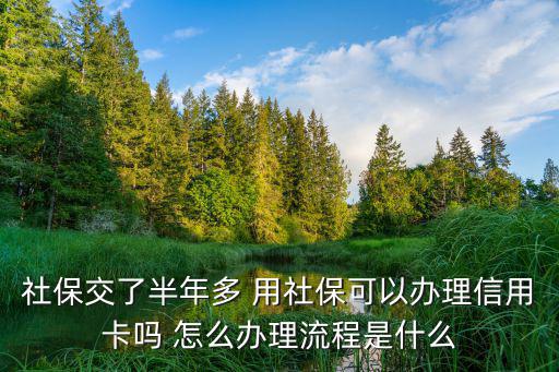 個人如果去社保怎么辦理信用卡，個人交的社?？梢赞k理信用卡么