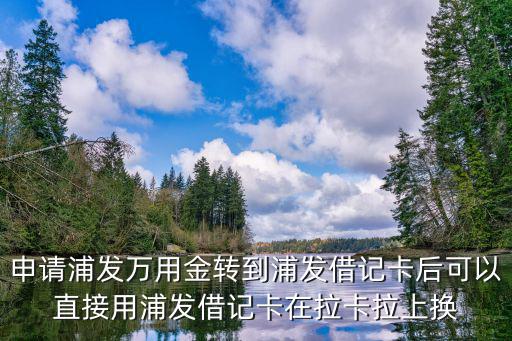 萬用金怎么轉(zhuǎn)他行，浦發(fā)萬用金4月29日申請成功轉(zhuǎn)別人的卡能到帳嗎