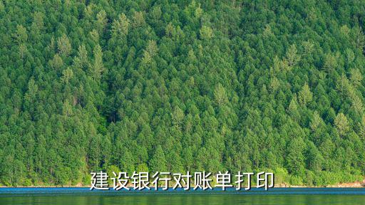 建設(shè)銀行對賬單打印
