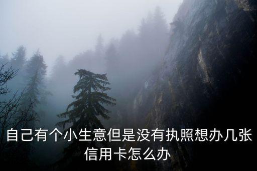 營業(yè)執(zhí)照丟失怎么辦理信用卡，自己做生意沒營業(yè)執(zhí)照可以申請信用卡嗎