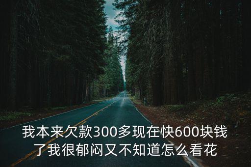 我本來欠款300多現(xiàn)在快600塊錢了我很郁悶又不知道怎么看花
