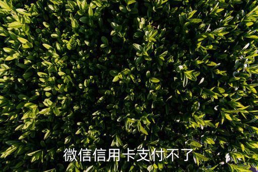 微信信用卡支付不了