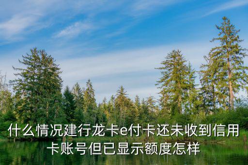 什么情況建行龍卡e付卡還未收到信用卡賬號但已顯示額度怎樣
