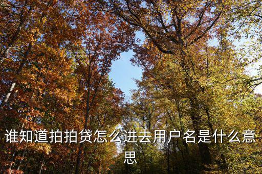 誰(shuí)知道拍拍貸怎么進(jìn)去用戶(hù)名是什么意思