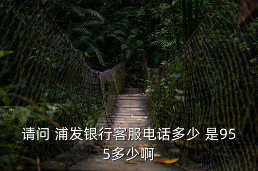 請問 浦發(fā)銀行客服電話多少 是955多少啊