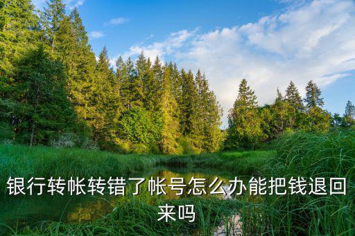 夸行轉(zhuǎn)賬轉(zhuǎn)錯(cuò)了怎么辦，網(wǎng)上銀行跨行轉(zhuǎn)賬轉(zhuǎn)錯(cuò)銀行怎么處理