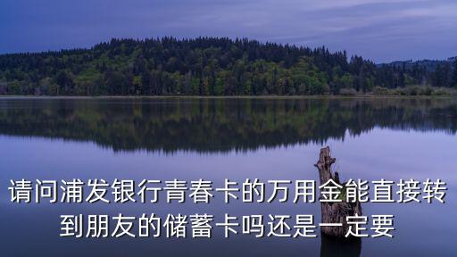 請(qǐng)問浦發(fā)銀行青春卡的萬用金能直接轉(zhuǎn)到朋友的儲(chǔ)蓄卡嗎還是一定要