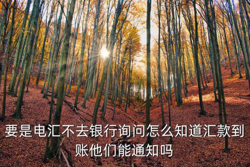 怎么知道境外電匯到賬，怎么查國(guó)外客人的匯款到賬了沒(méi)
