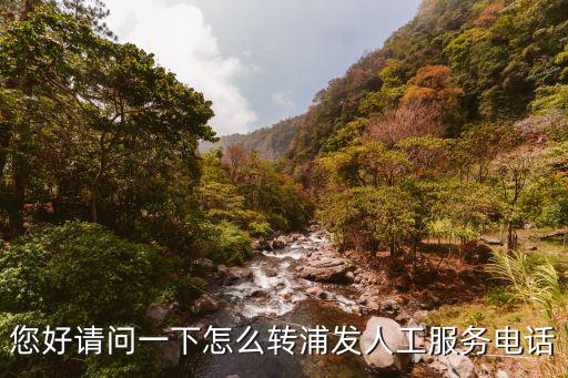 您好請問一下怎么轉(zhuǎn)浦發(fā)人工服務(wù)電話